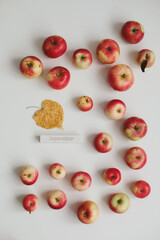 hello september. autumn card with fresh red apples on white background top view