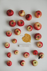 hello september. autumn card with fresh red apples on white background top view