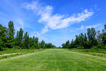 Fototapeta na wymiar Landscape with old green trees and leager grass meadow at the entry in King Michael I Park (former Herastrau) in Bucharest, Romania, in a sunny spring day with blue sky..
