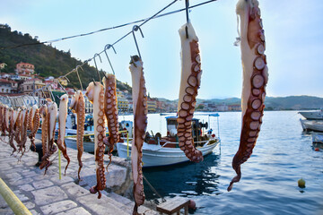 octopuses on hook, port of Gythion, Greece 