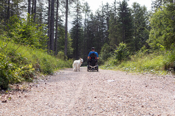 Fototapeta premium Disabled man on wheelchair with his dog on a trip in nature.