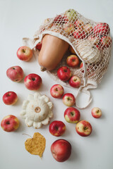 autumn harvest with sqush, pumpkin, red apples in a mesh shopping eco bag on a white background. zero waste, no plastic concept