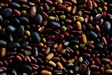Assortment of many kinds of beans, nuts for animal feed