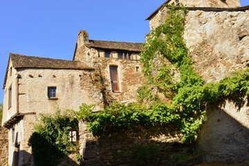 Fototapeta na wymiar Les vieilles maisons médiévales végétalisées de Najac (12270) sous le ciel bleu, département de l'Aveyron en région Occitanie, France