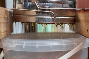 Drop of bee honey drip from hexagonal honeycombs