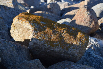 Orange rock from 17 Mile Drive Monterey, California.