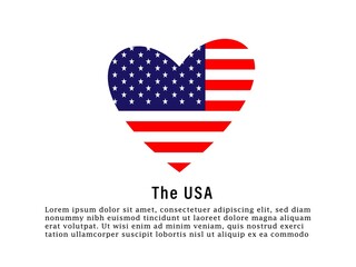 usa flag design vector template