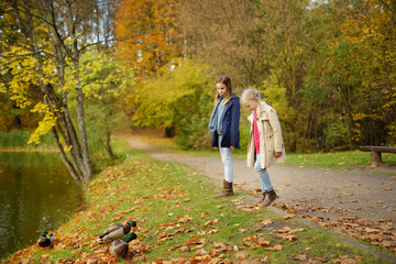 Fototapeta premium Two cute young sisters having fun on beautiful autumn day. Happy children playing in autumn park. Kids gathering yellow fall foliage.
