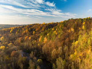 Obraz premium Aerial view of autumn forest with green and yellow trees. Mixed deciduous and coniferous forest. Beautiful fall scenery near Vilnius, Lithuania