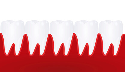 Human teeth isolated. vector illustration