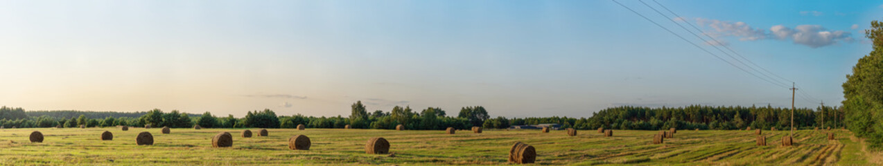 Large bales of fresh hay on the field, Ukraine