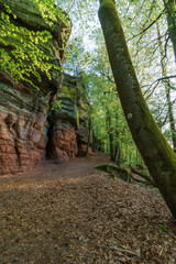 Rockformation of Altschlossfelsen of red sandstone in forest near Eppenbrunn, Germany