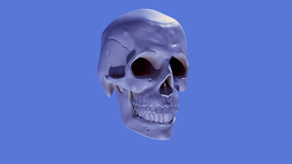 Skull 3d