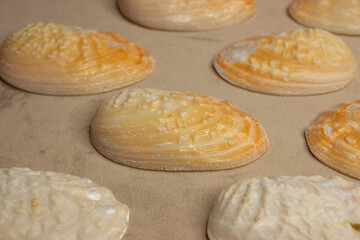 Shells arcuatula senhousia. Small white-yellow shells of seashells. Beautiful ocean shells of the mussel family.