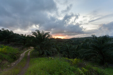 Fototapeta na wymiar sundown view of borneo - malaysia.
