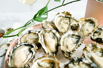 Closeup view of raw oysters on a plate of ice