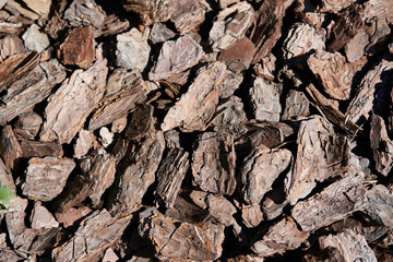 The texture of crushed tree bark on a close-up background. Crushed brown tree bark for decoration.Mulching of the soil. Decorative gardening High quality photo
