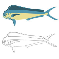 dorado  fish, vector illustration, flat style, side view