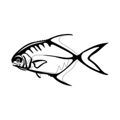 permit  fish , vector illustration, flat style, side