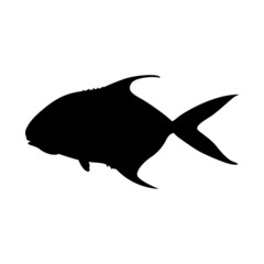 permit  fish , vector illustration, black silhouette, side
