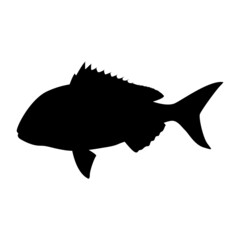 snapper fish, vector illustration,  black silhouette, side