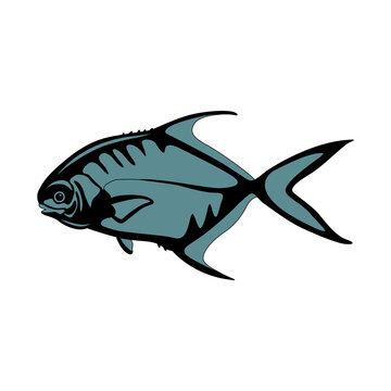 permit  fish , vector illustration, flat style, side view, lining