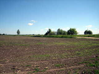 A flat plowed field with fertile soil-chernozem. In the distance, individual trees are visible on the horizon.