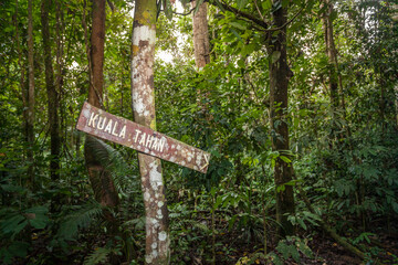 signpost in malaysia jungle,  taman negara national park