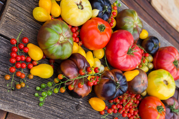 Heirloom tomatoes full of colors and taste