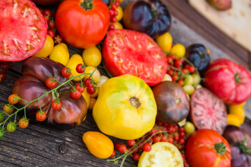 Heirloom tomatoes full of colors and taste
