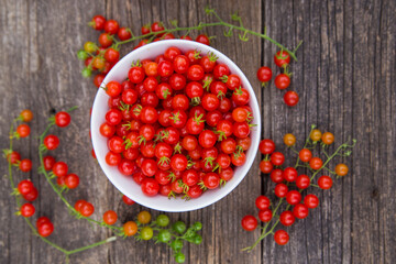 Heirloom tomatoes full of colors and taste