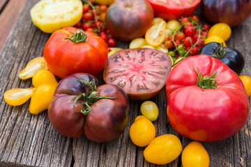 Obraz na płótnie Canvas Heirloom tomatoes full of colors and taste
