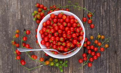 Heirloom tomatoes full of colors and taste