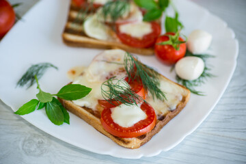 fried hot toast with mozzarella and tomatoes in a plate
