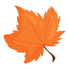Maple leaf. Autumn design element. Vector illustration, cartoon style
