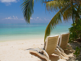 Two sun loungers on a snow-white coast with a blue ocean and green bushes in the Maldives. Copy space for text.
