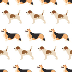 Vector seamless pattern with corgi and beagle dogs. vector illustration flat with a domestic cute animal on a white background.