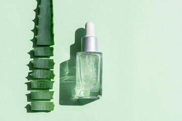 Flat lay of Aloe vera essential oil with fresh leaves and sliced isolated on bright green background. Organic cosmetics. Top view flat lay, copy space. Cosmetics, SPA branding, mock-up.