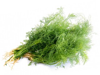 bunch of fresh green dill as condiment for meals