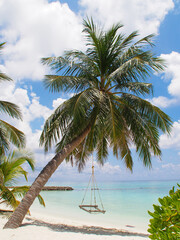 Hanging hammock on a palm tree on a beach with white sand and blue ocean of the Maldives