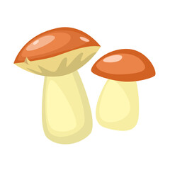Porcini mushrooms clip art. Vector illustration.