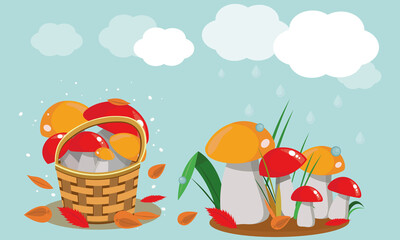 Illustration of autumn mushrooms made in vector format. Mushrooms in a basket, mushrooms growing in a meadow and white clouds on a blue background.