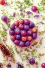 The vertical image shows a composition of homemade plums, cones and dried herbs