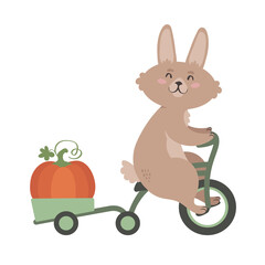 Fototapeta na wymiar Cute bunny carrying a harvest of pumpkin on a tricycle. flat style illustration