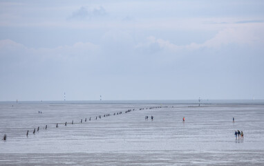 strand meer Schiff landschaft wasser
