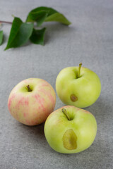 Ripe garden apples on grey background. Selective focus