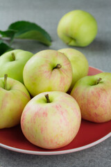 Ripe garden apples on a plate on wooden background