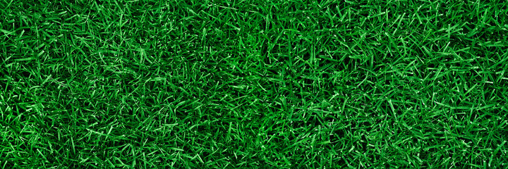 Banner texture of green grass for the background. Green lawn pattern and textured background. The top view of the herb garden is an ideal concept used to make a green floor covering. 