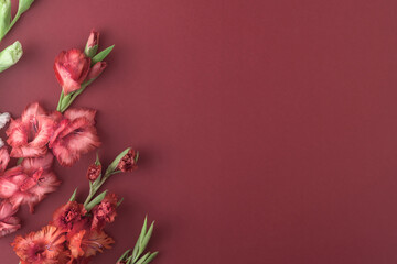 Floral composition of autumn flowers on a dark red background with copy space