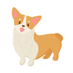 Ccorgi standing isolated vector illustration. Funny little dog, cute face and short tail. Friendly character in flat style.